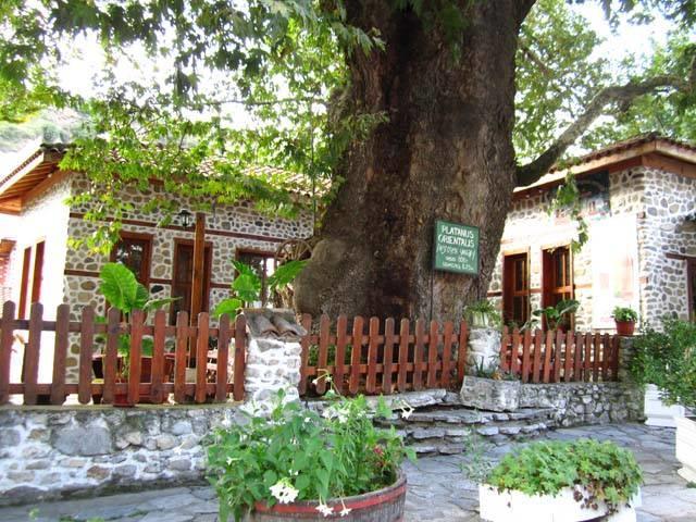 Комплекс Стария Чинар 멜닉 외부 사진