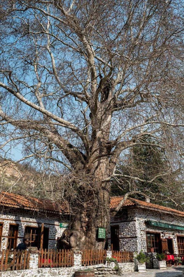 Комплекс Стария Чинар 멜닉 외부 사진