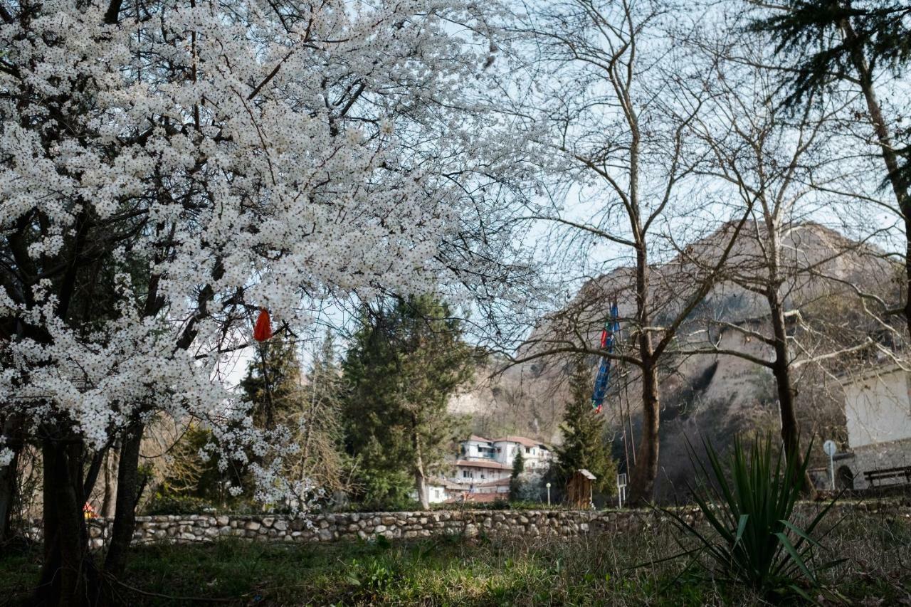 Комплекс Стария Чинар 멜닉 외부 사진