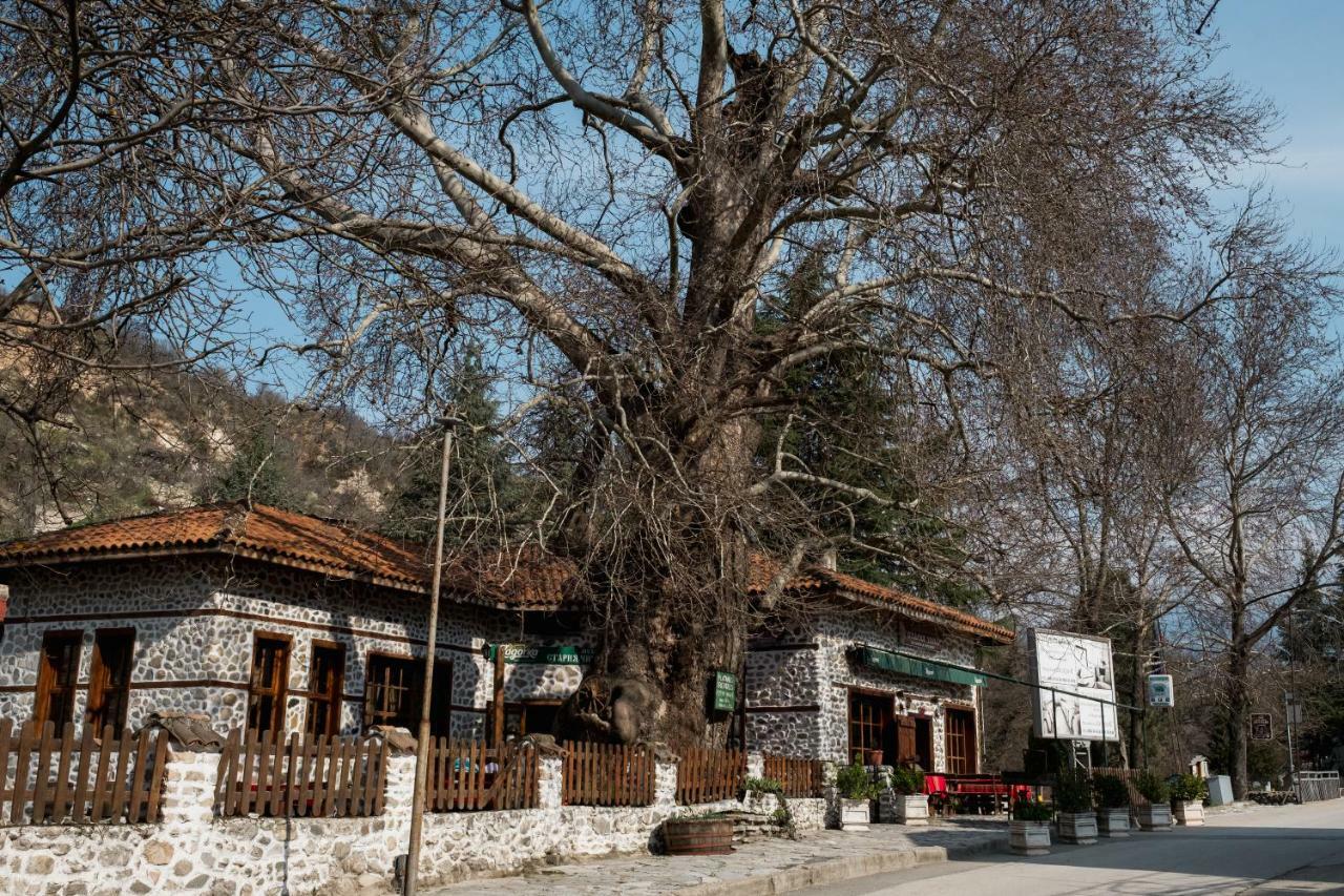 Комплекс Стария Чинар 멜닉 외부 사진